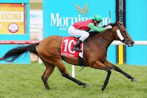 Scappare wins at Mornington on New Year's Day 2017
